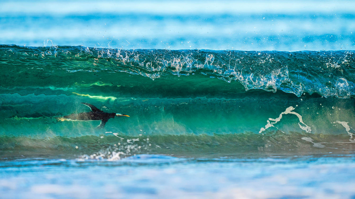 1. Platz: Levi Fitze (CH) | Surfing on the other side 